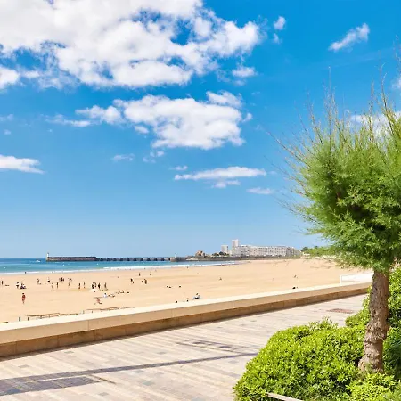Blue D'olonne *